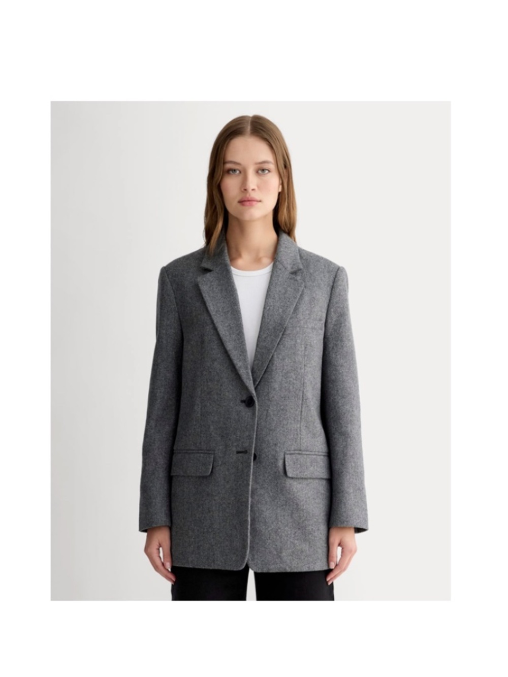 Everlane The Oversized Blazer